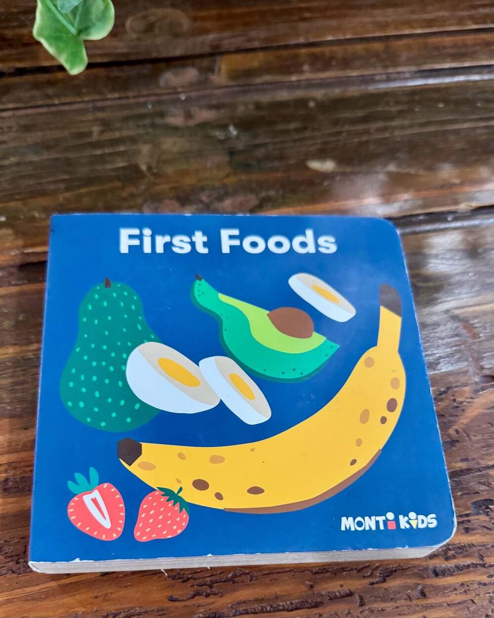 Monti Kids First Foods Board Book for Toddlers